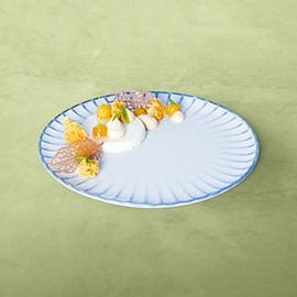 Panna cotta med citronverbena og sprød mangokage